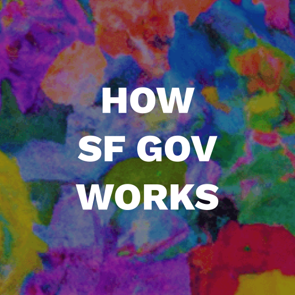 How SF Gov Works